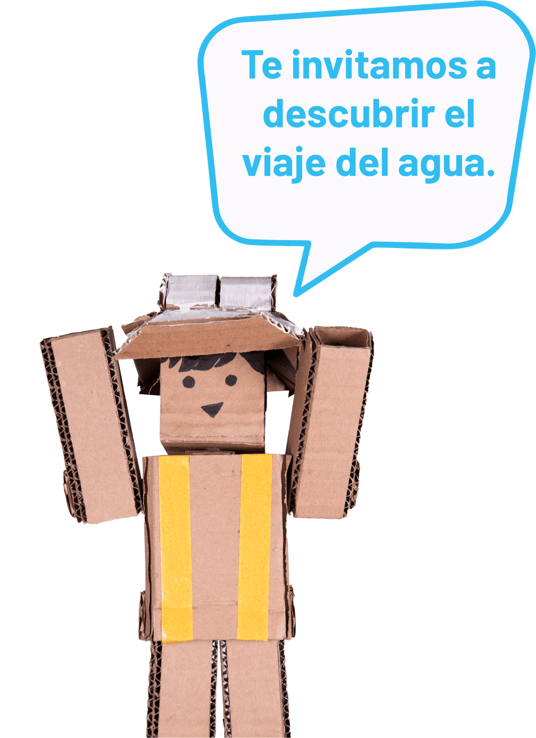 Item Carton